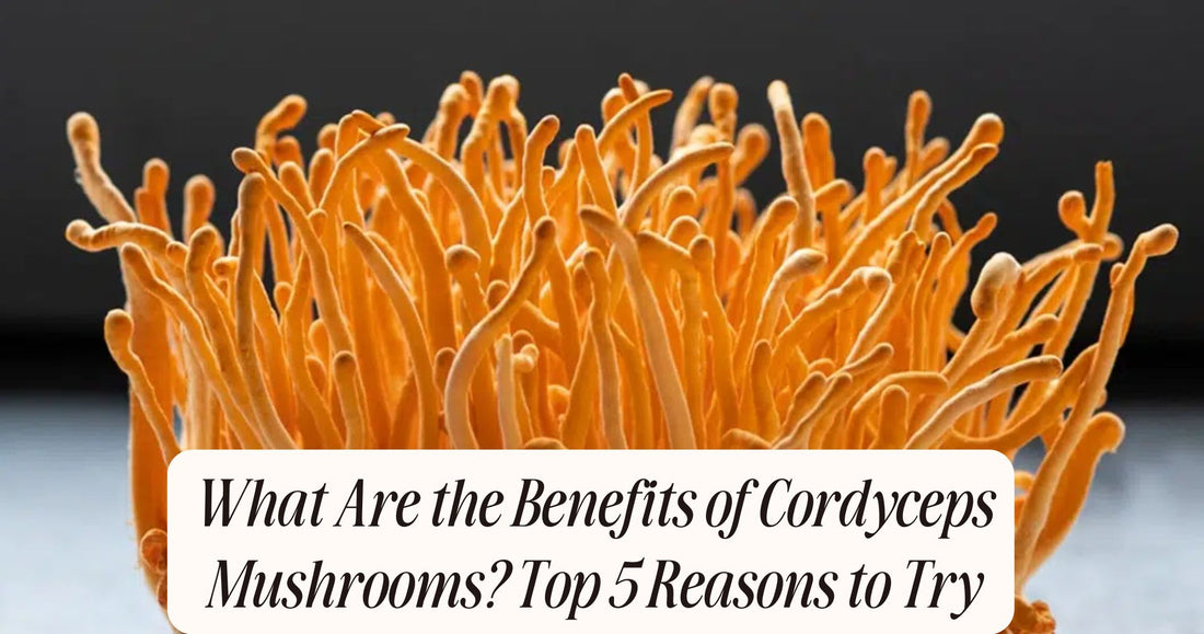 what are the benefits of cordyceps mushrooms