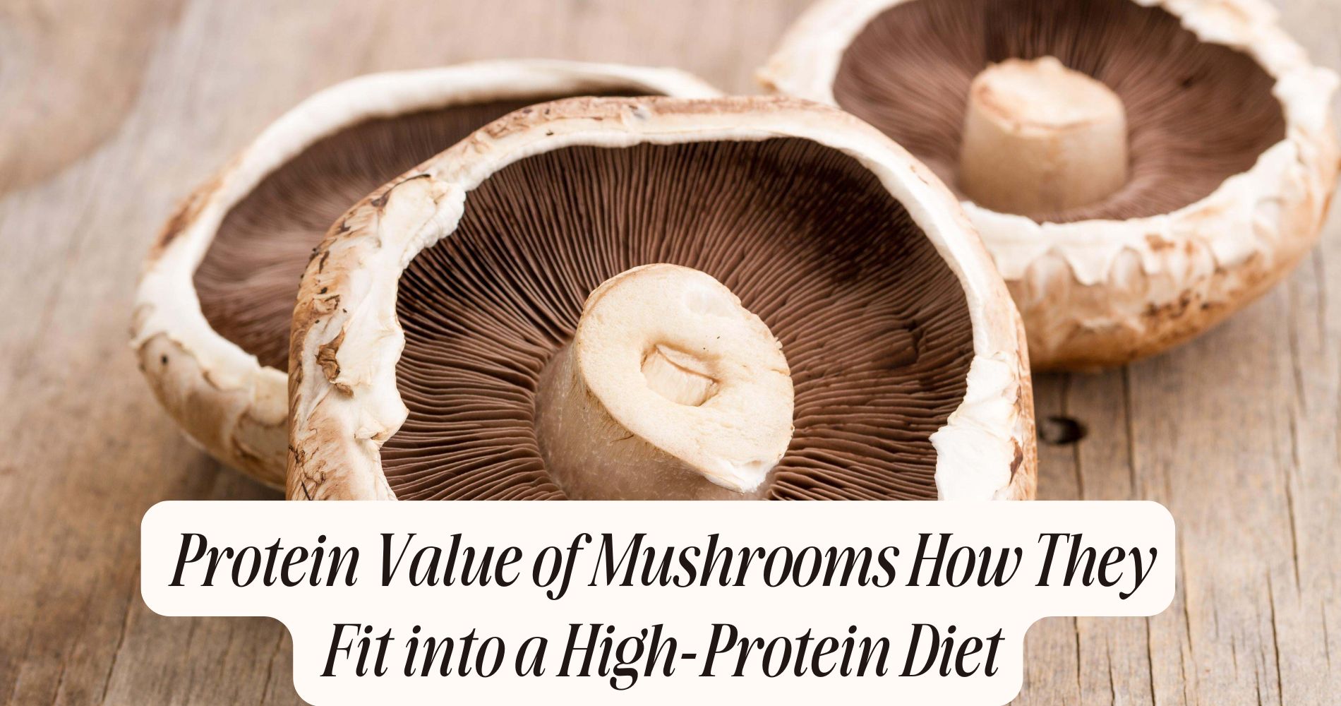 protein value of mushrooms