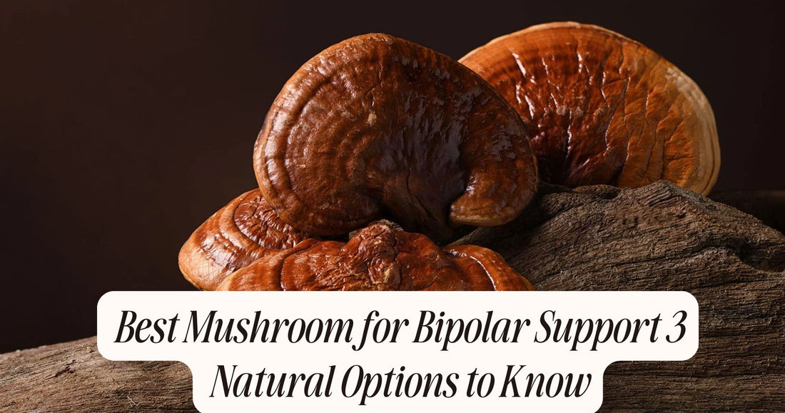 best mushroom for bipolar