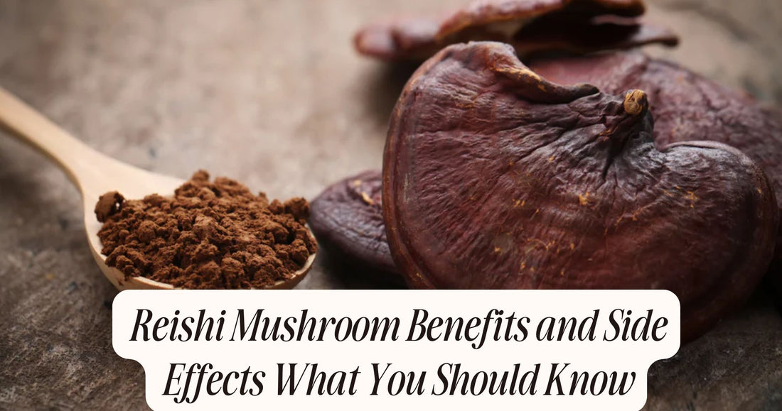 reishi mushroom benefits and side effects
