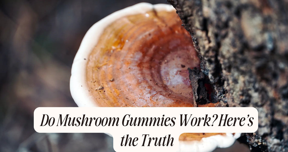 do mushroom gummies work