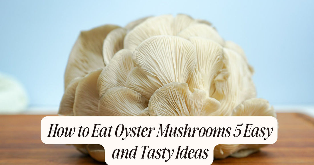 how to eat oyster mushrooms