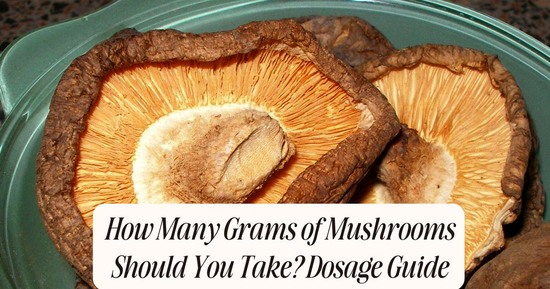 how many grams of mushrooms should you take
