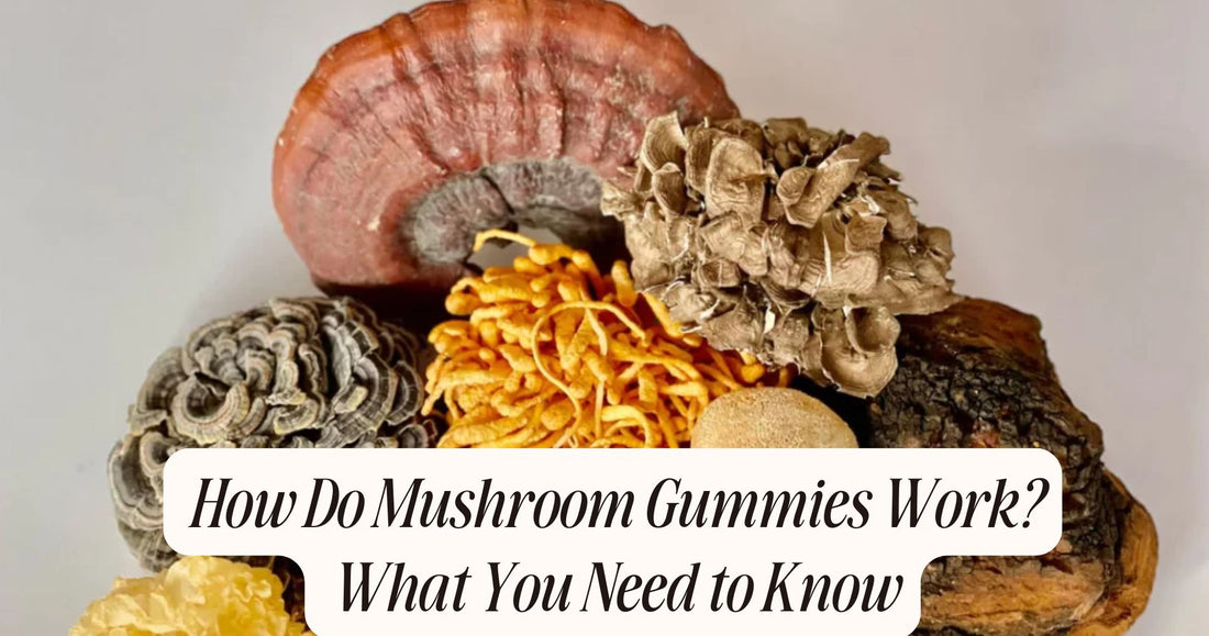 how do mushroom gummies work