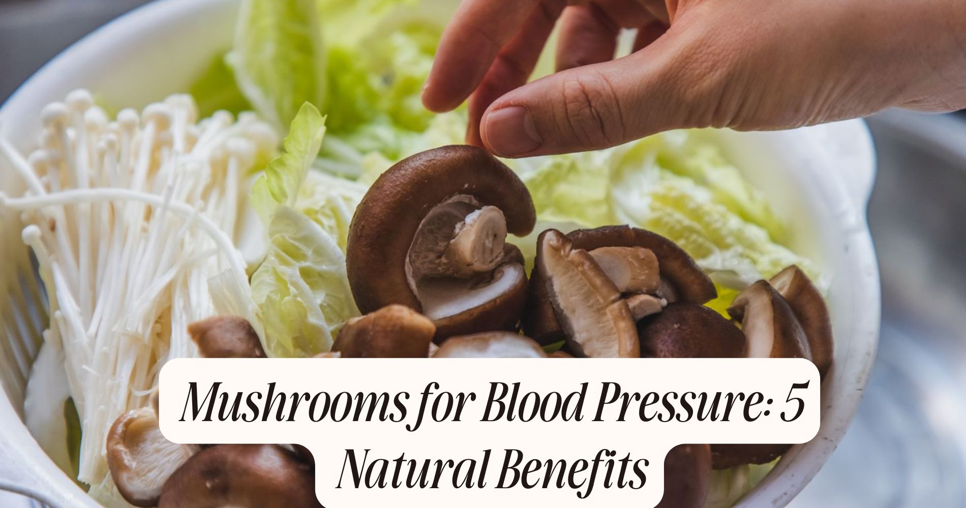 mushrooms for blood pressure