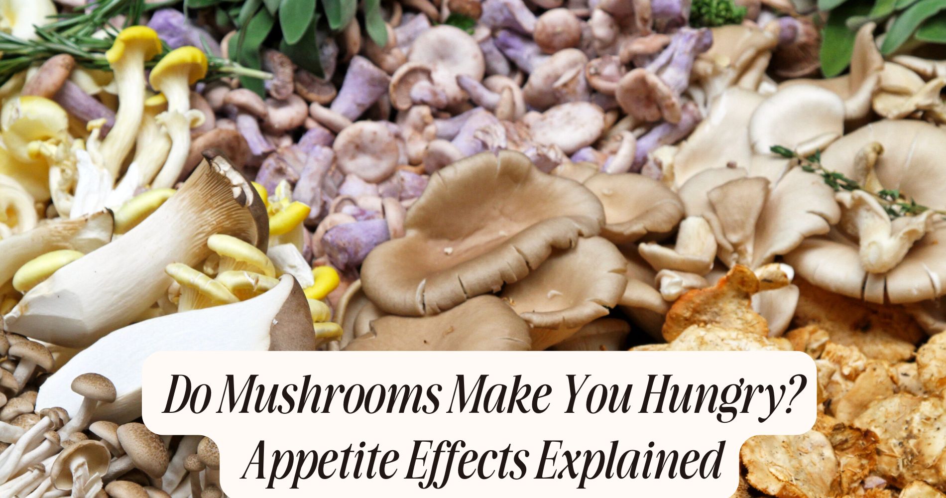do mushrooms make you hungry
