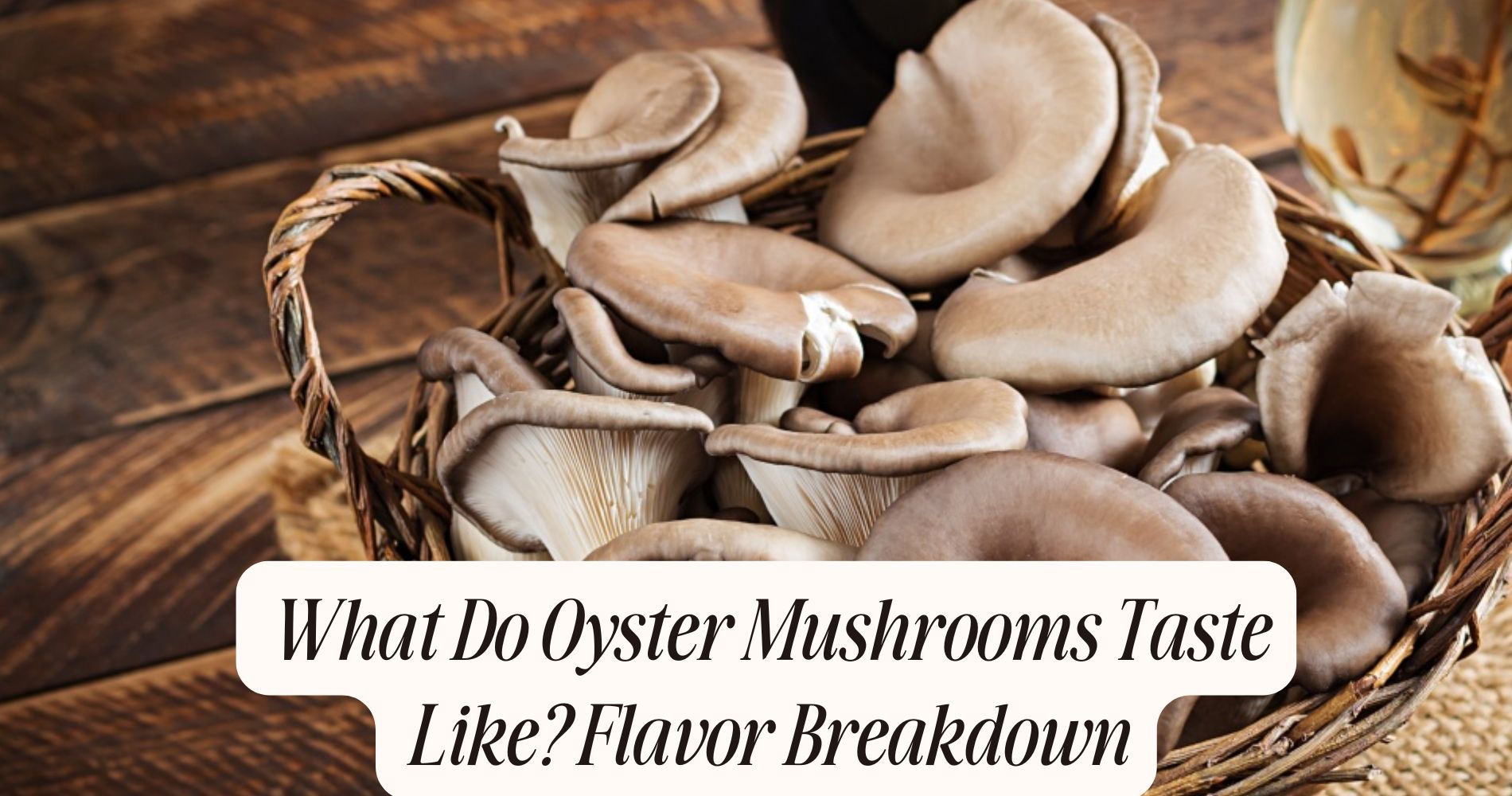what do oyster mushrooms taste like