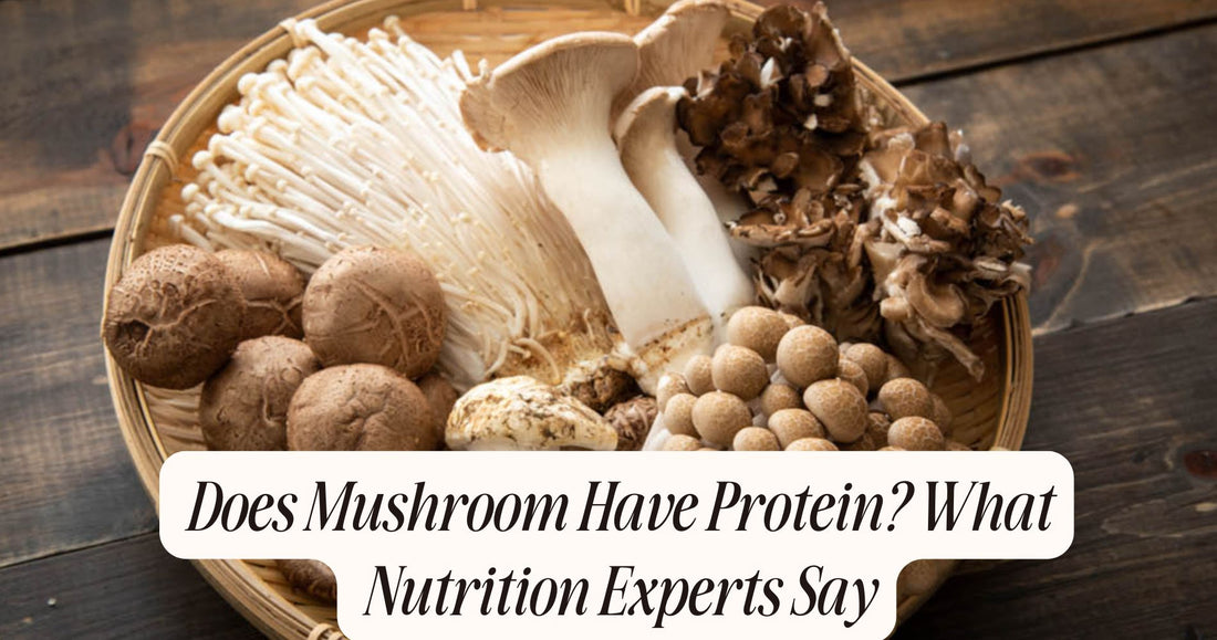 does mushroom have protein