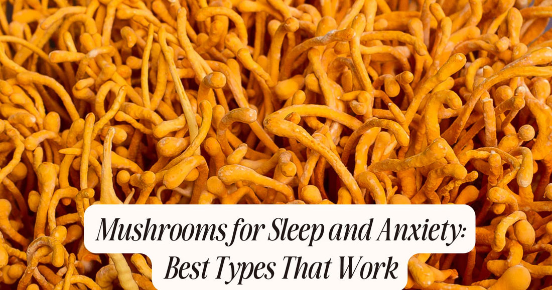 mushrooms for sleep and anxiety