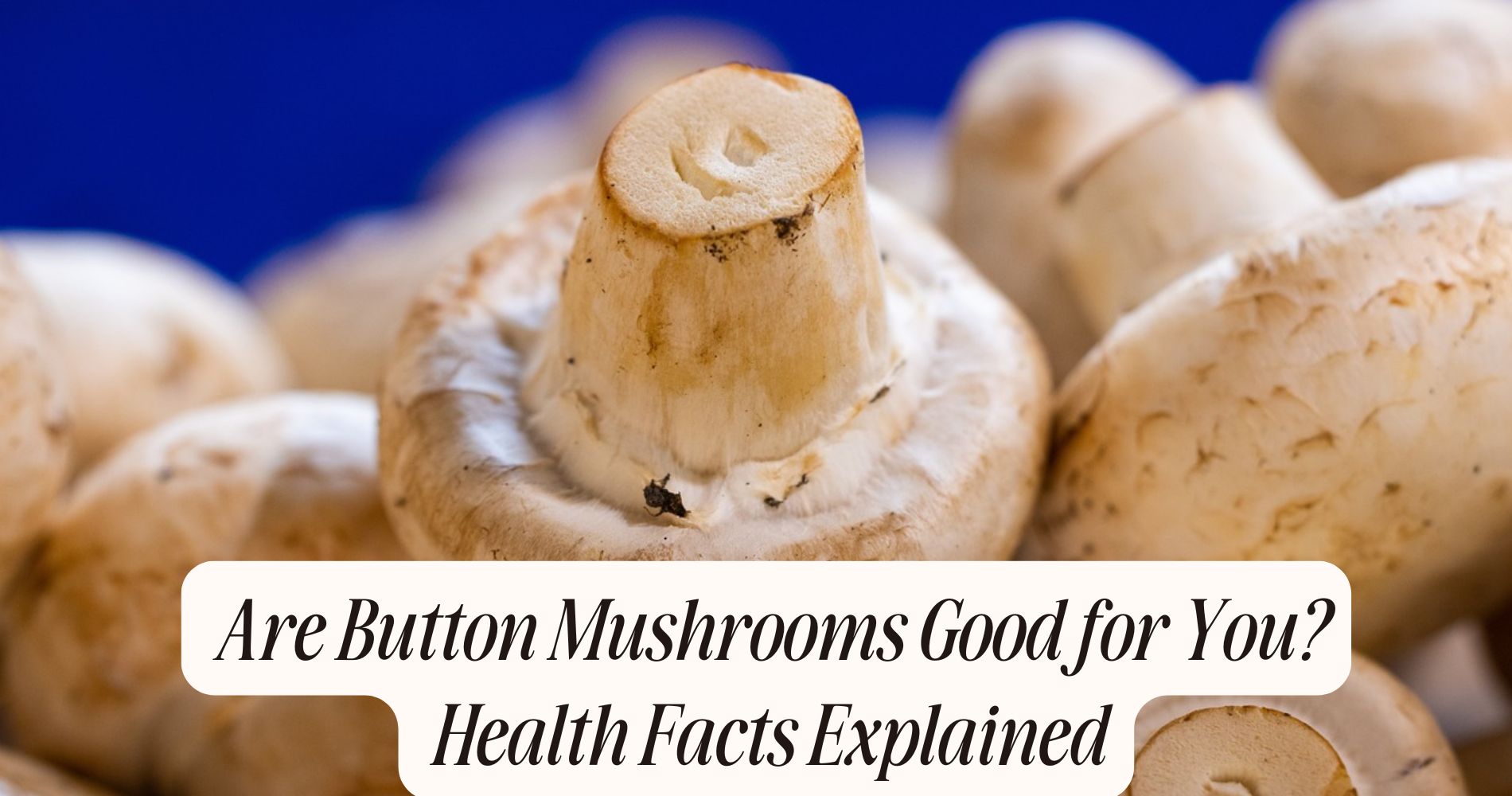 are button mushrooms good for you