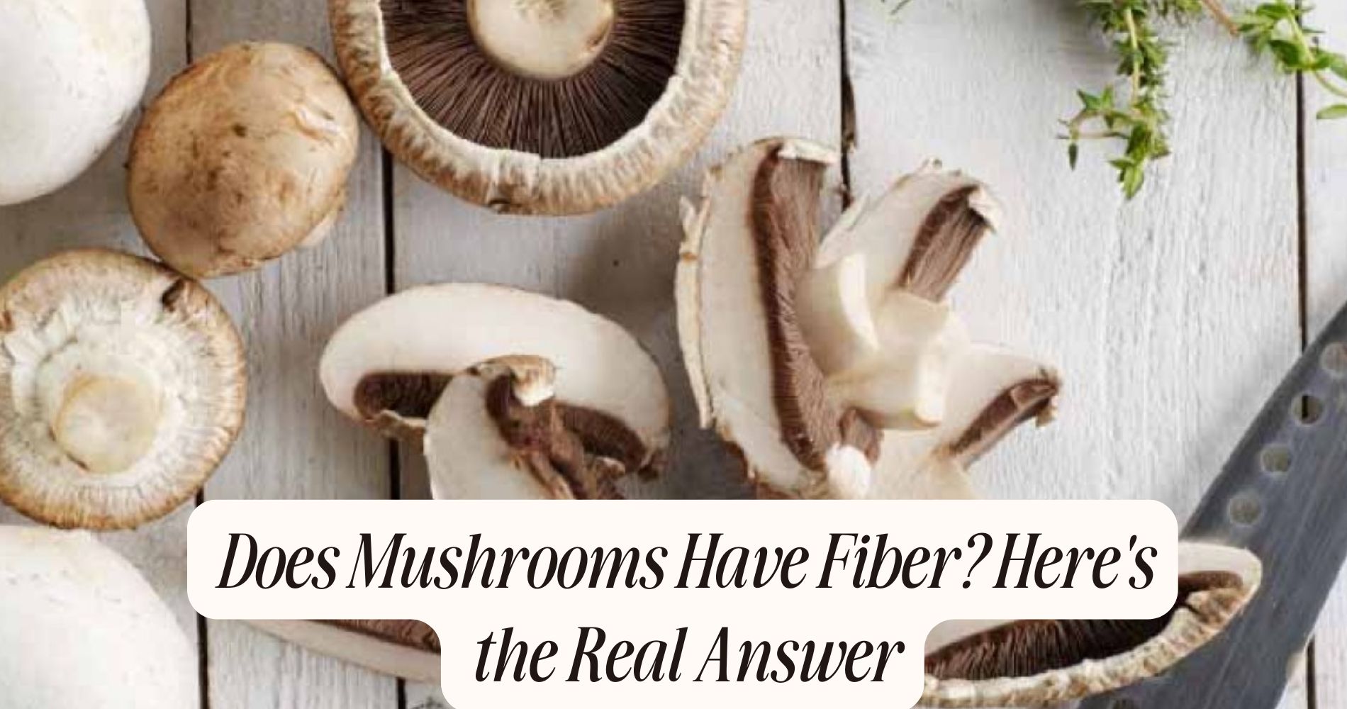 does mushrooms have fiber