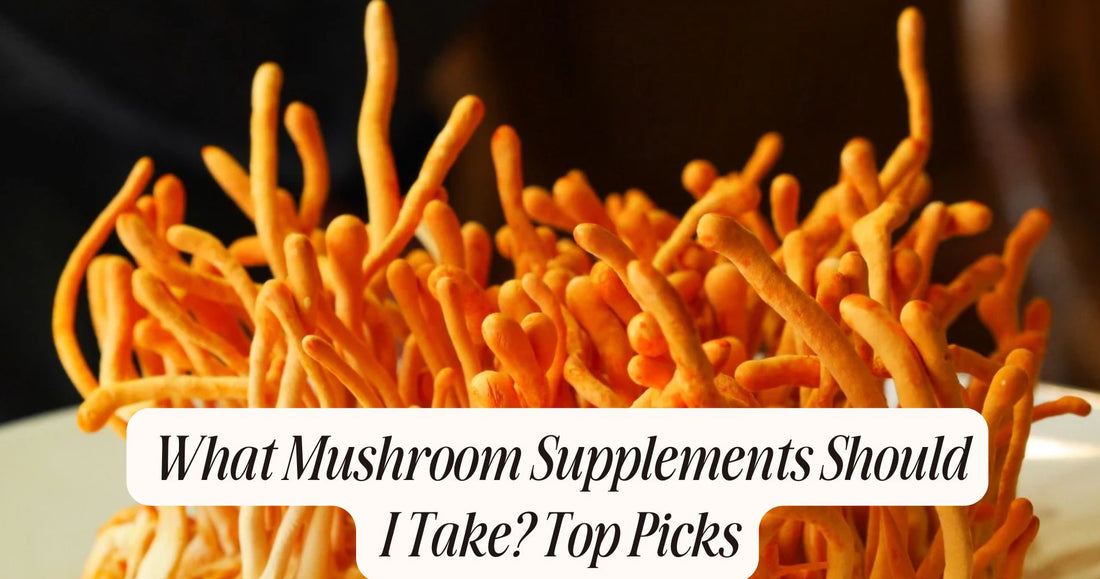 what mushroom supplements should i take