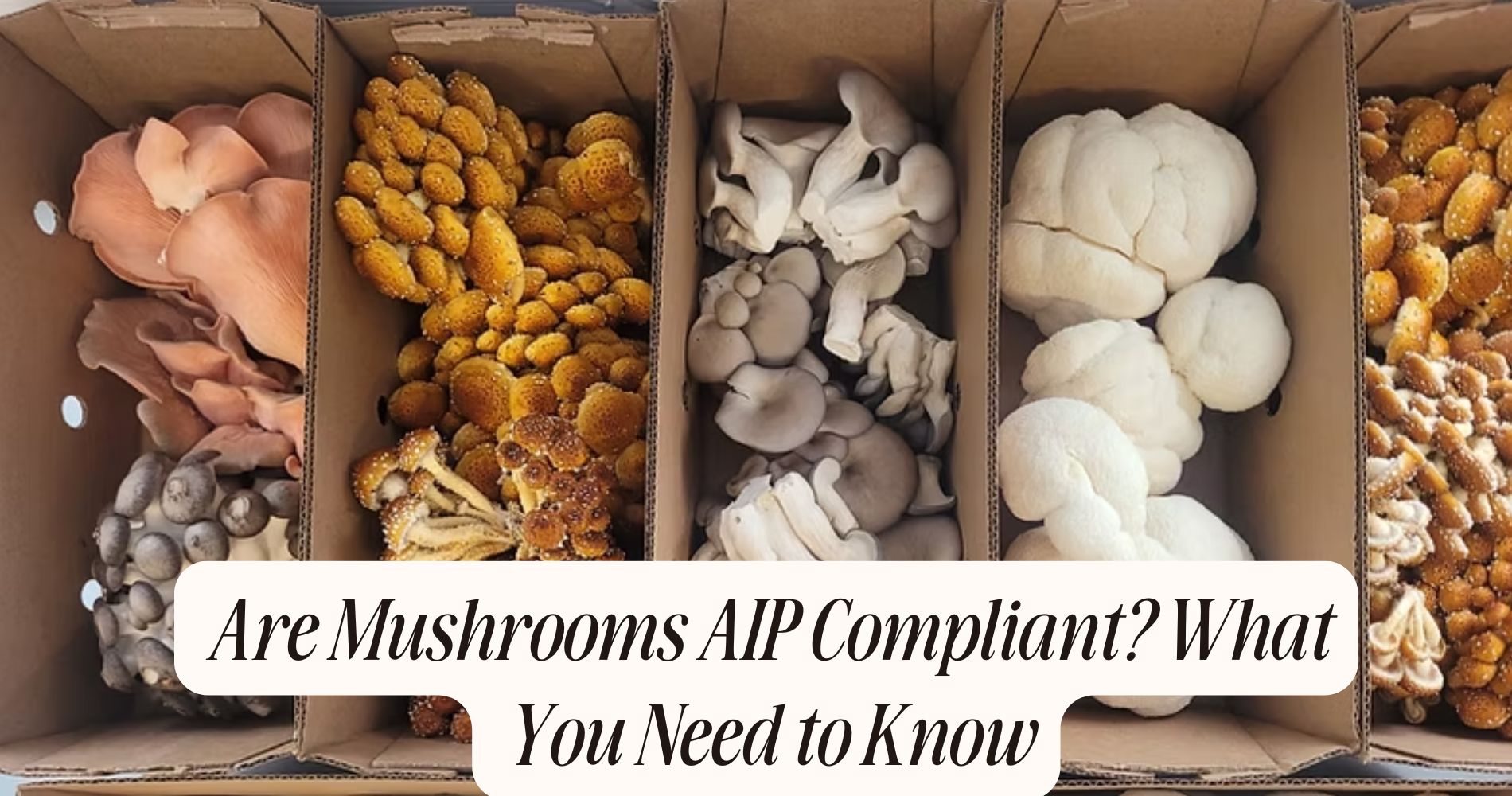 are mushrooms aip compliant