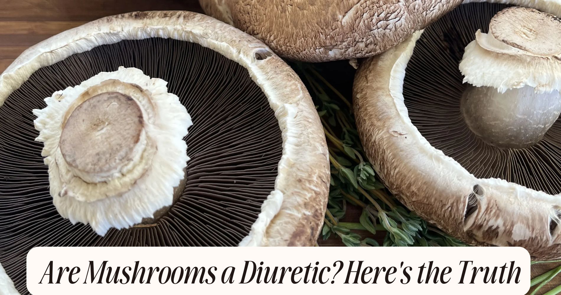 are mushrooms a diuretic