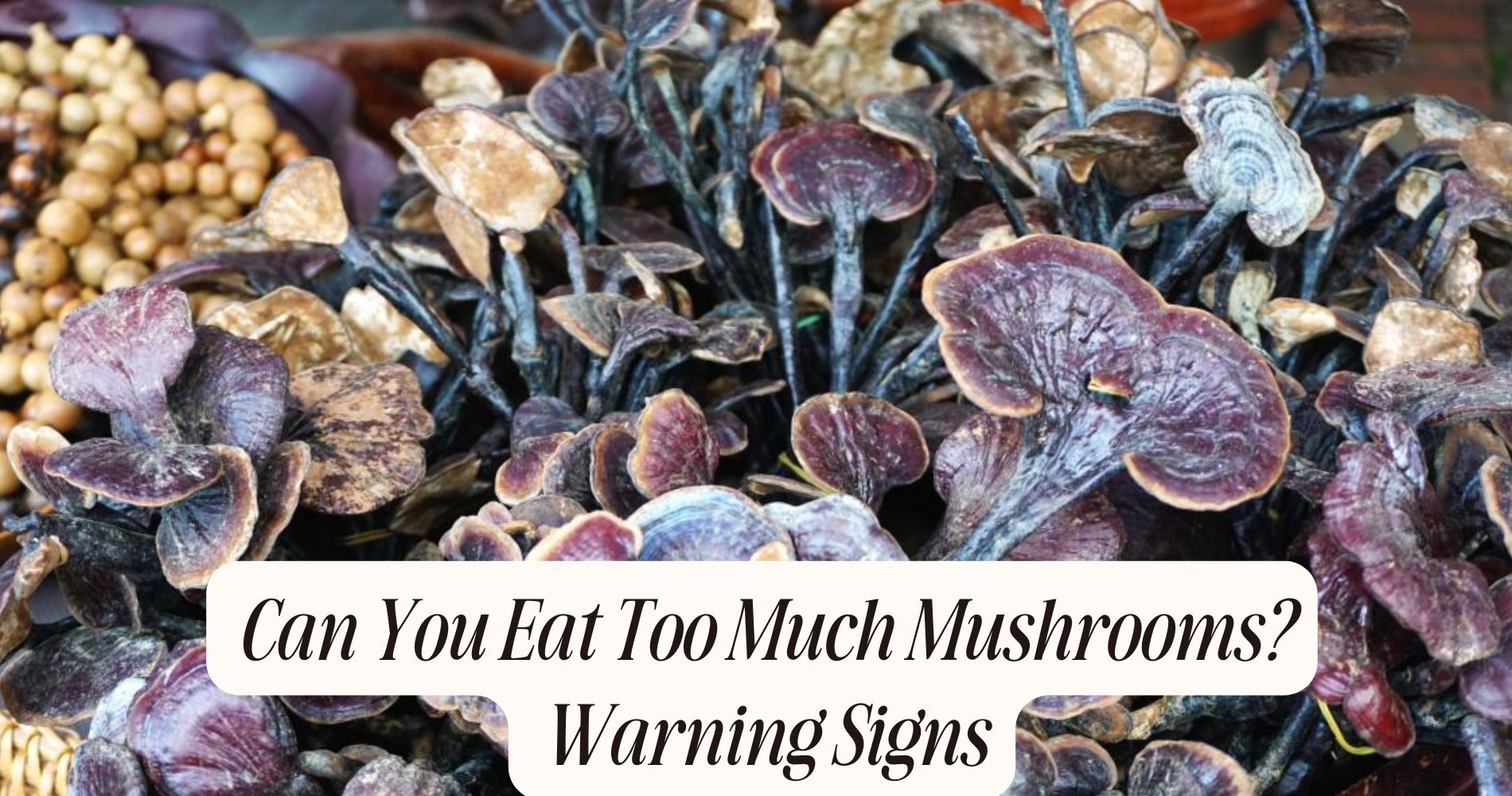 can you eat too much mushrooms
