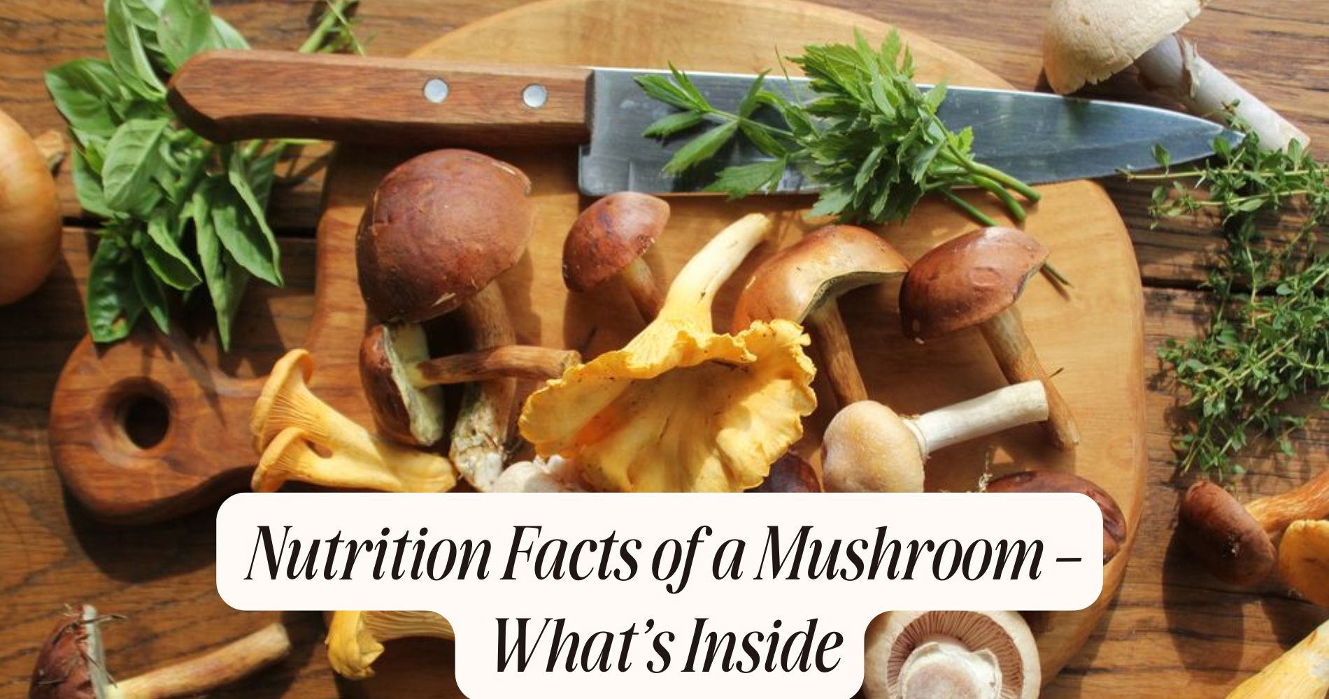 nutrition facts of a mushroom