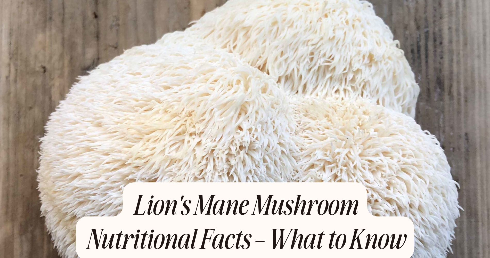 lion's mane mushroom nutritional facts