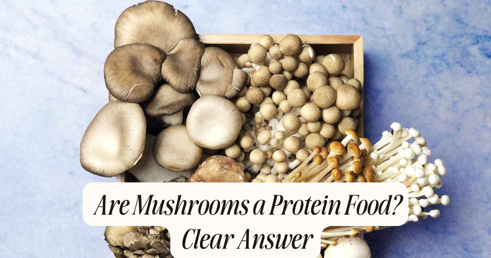 are mushrooms a protein food