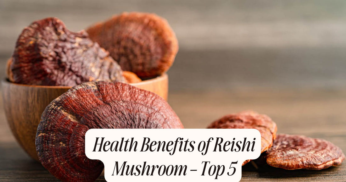health benefits of reishi mushroom