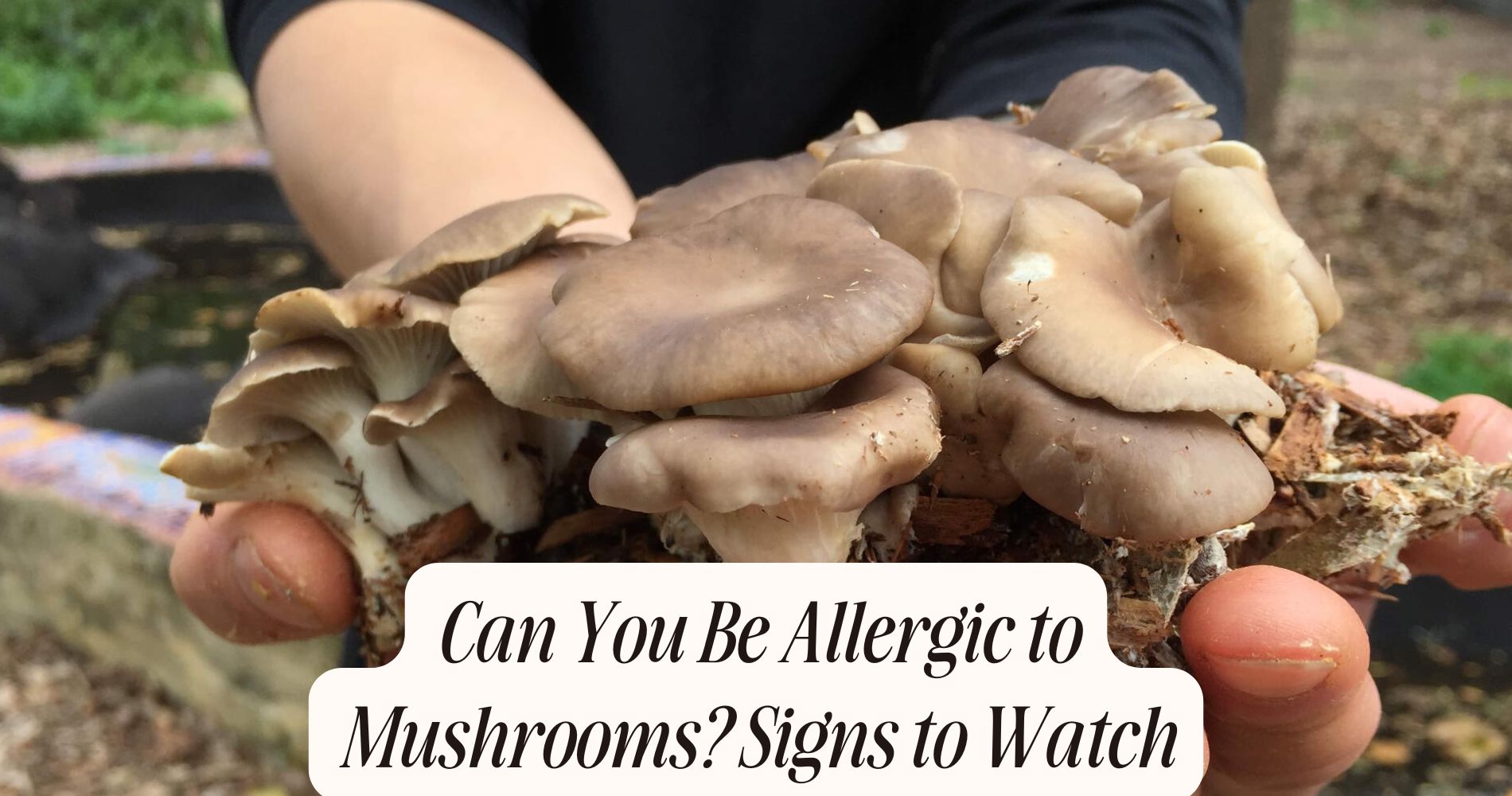 can you be allergic to mushrooms