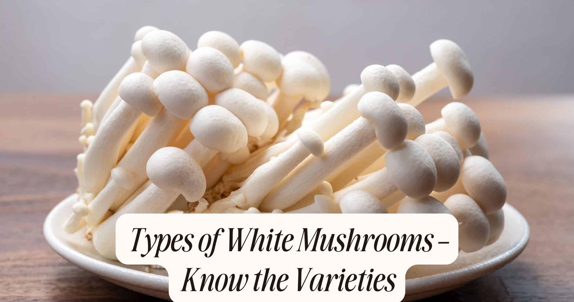 types of white mushrooms
