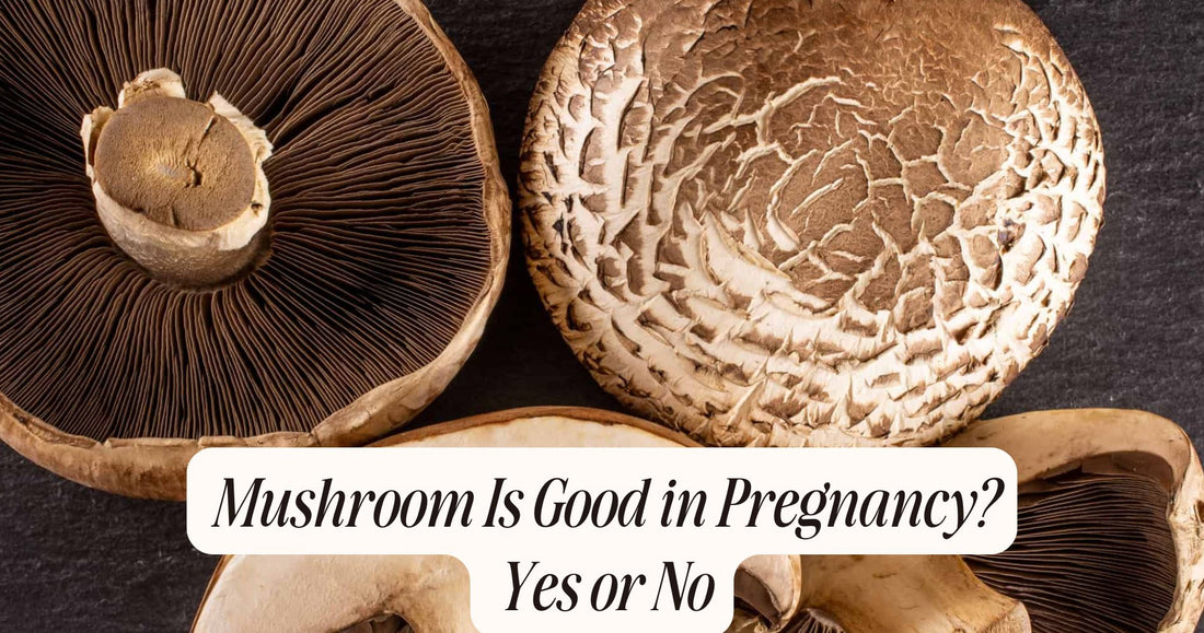 mushroom is good in pregnancy