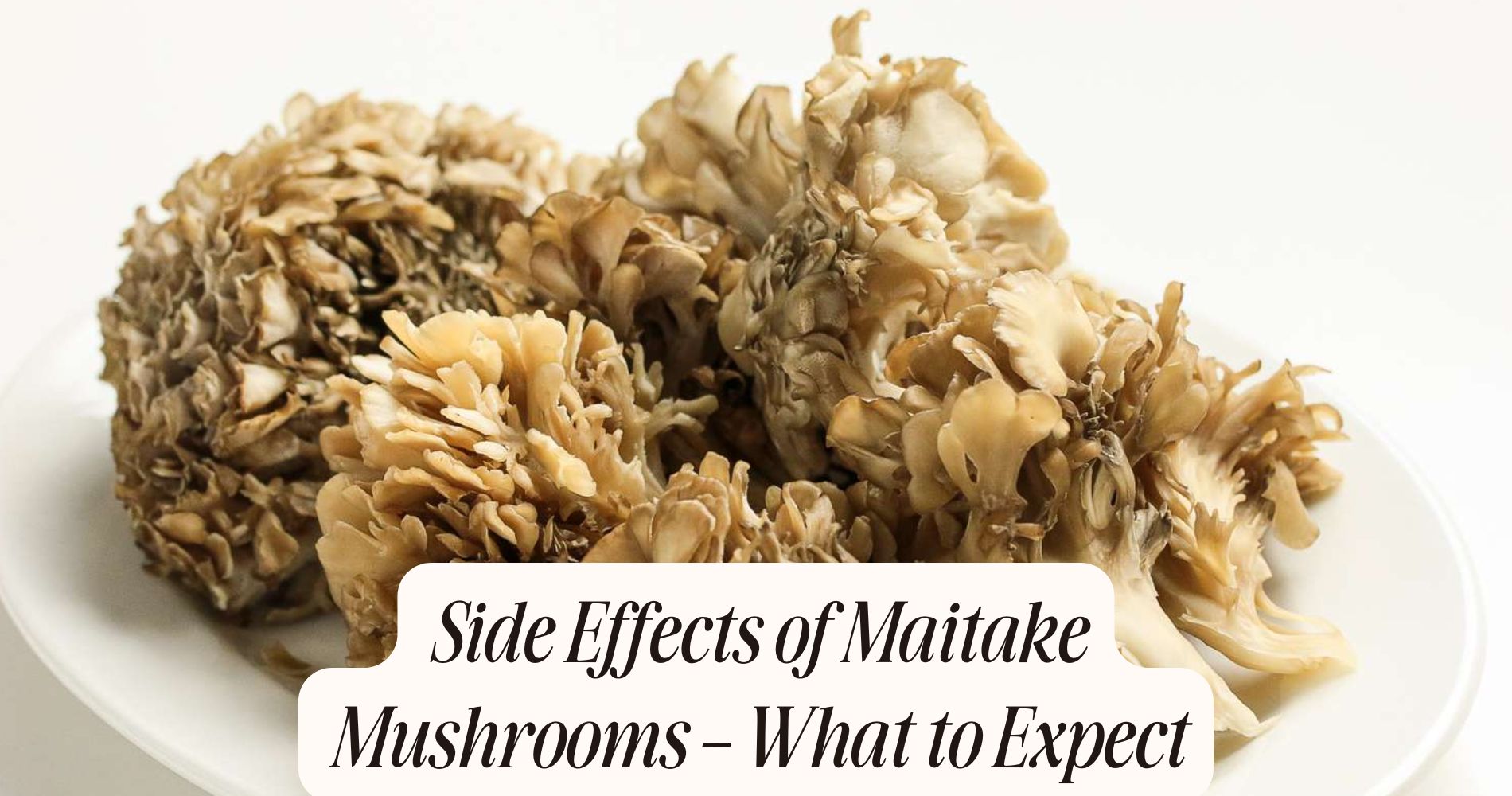 side effects of maitake mushrooms
