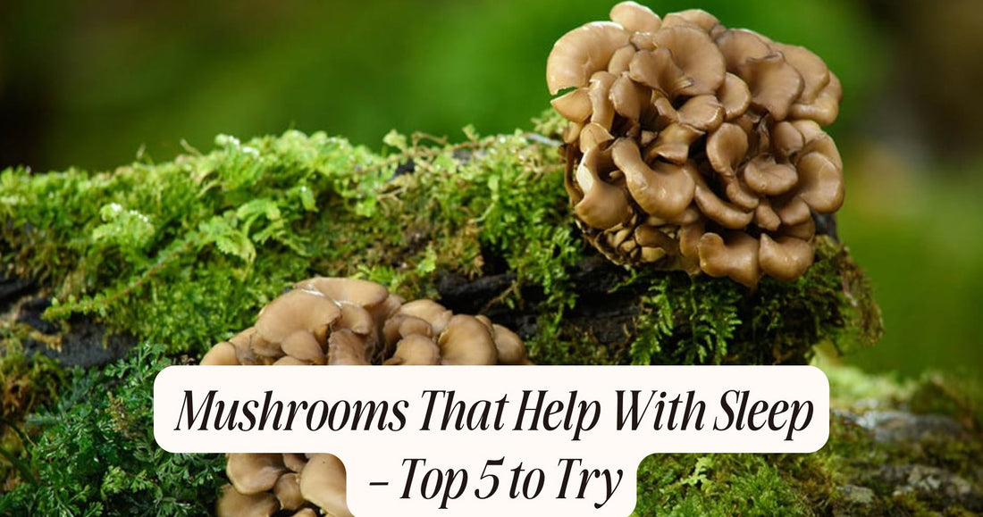 mushrooms that help with sleep