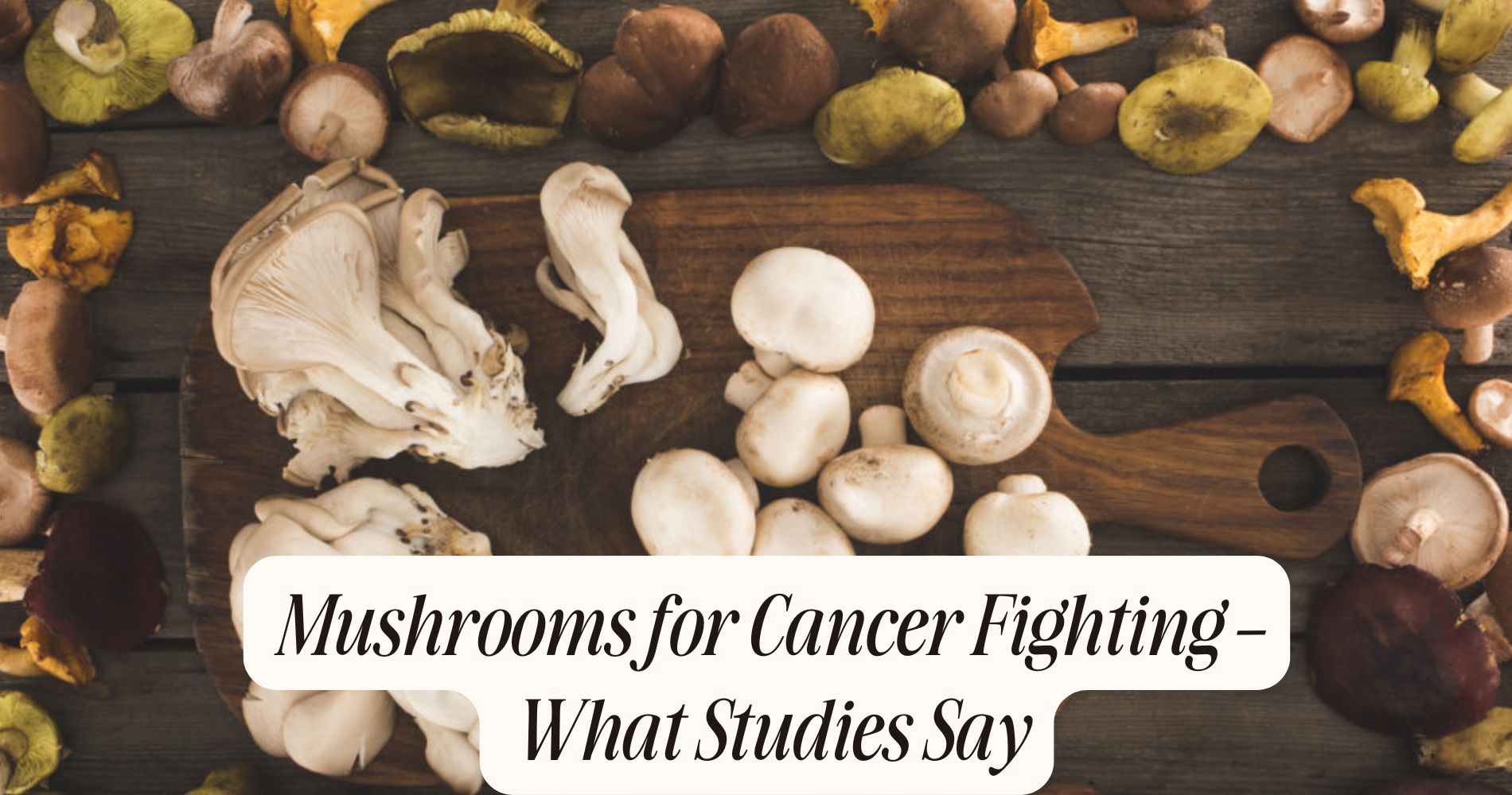 mushrooms for cancer fighting