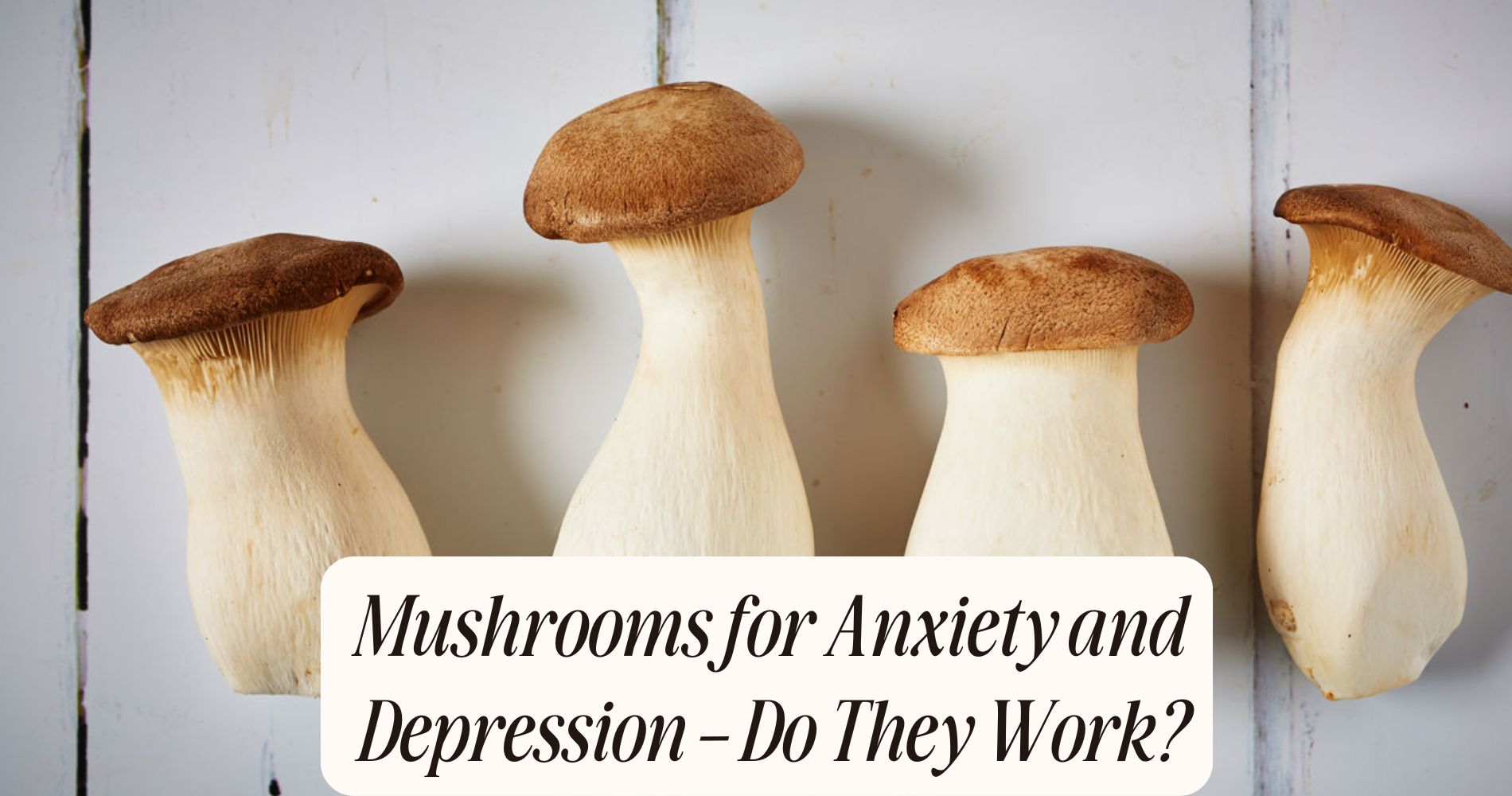 mushrooms for anxiety and depression