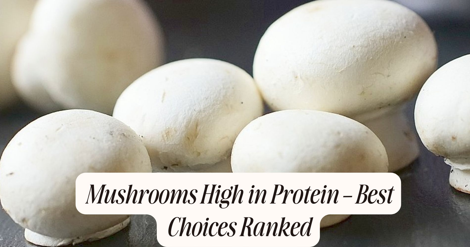 mushrooms high in protein