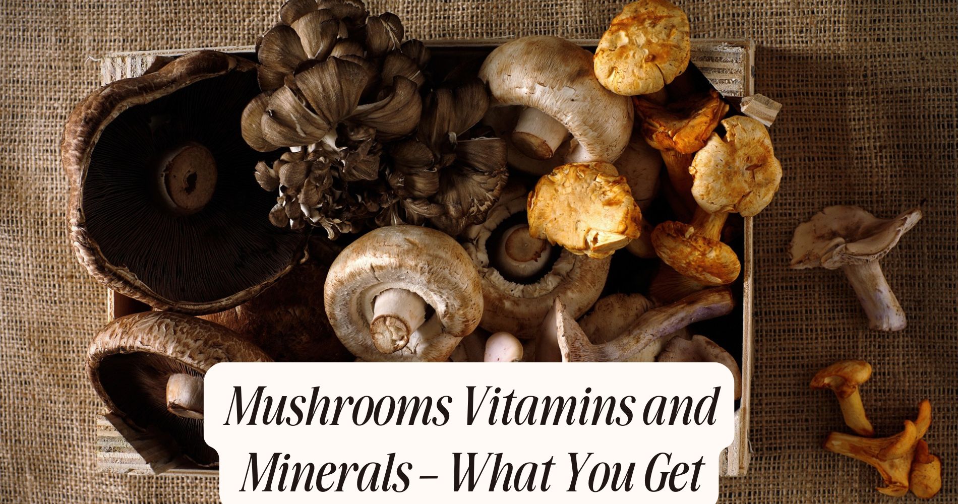 mushrooms vitamins and minerals