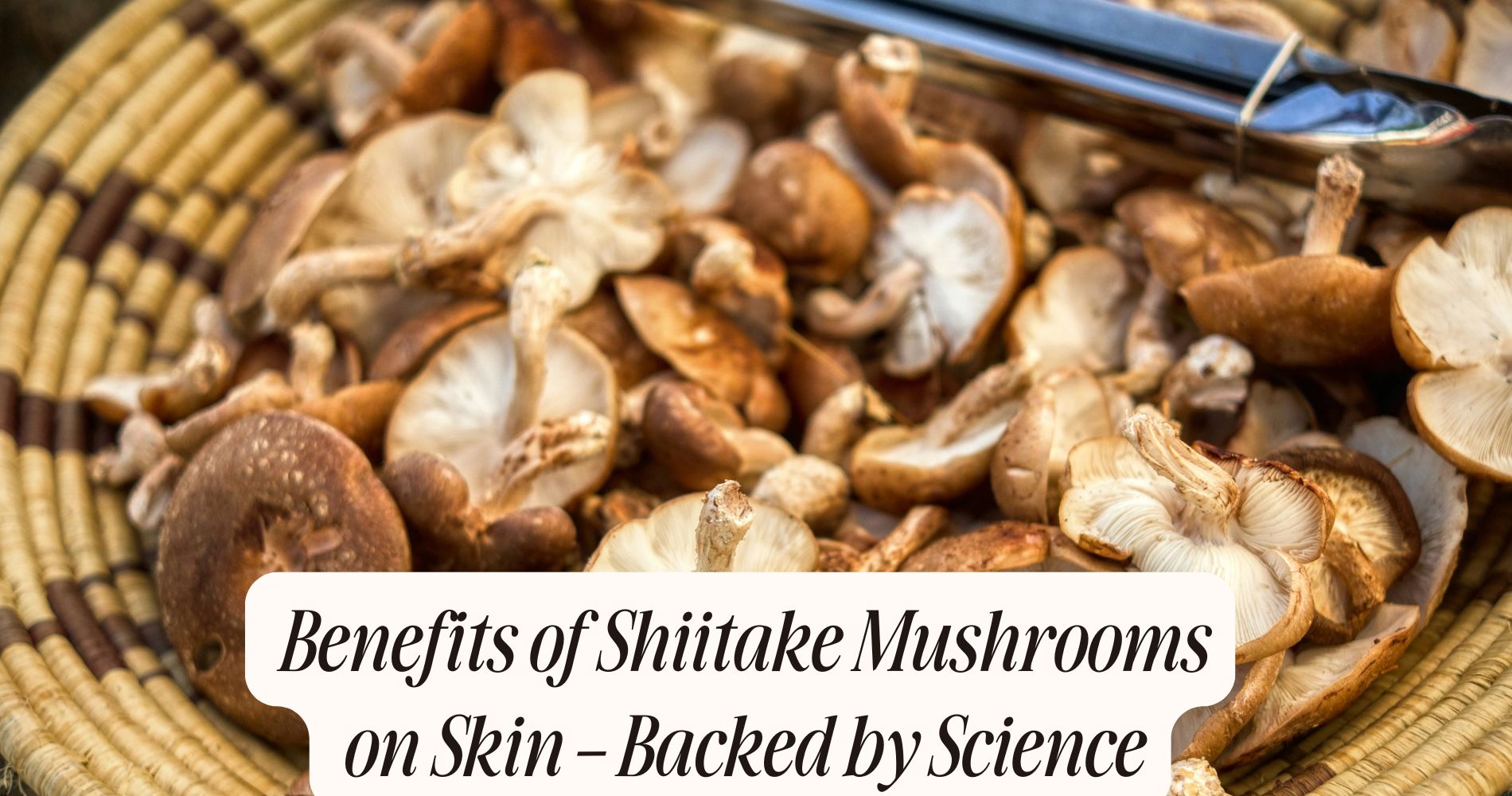 benefits of shiitake mushrooms on skin