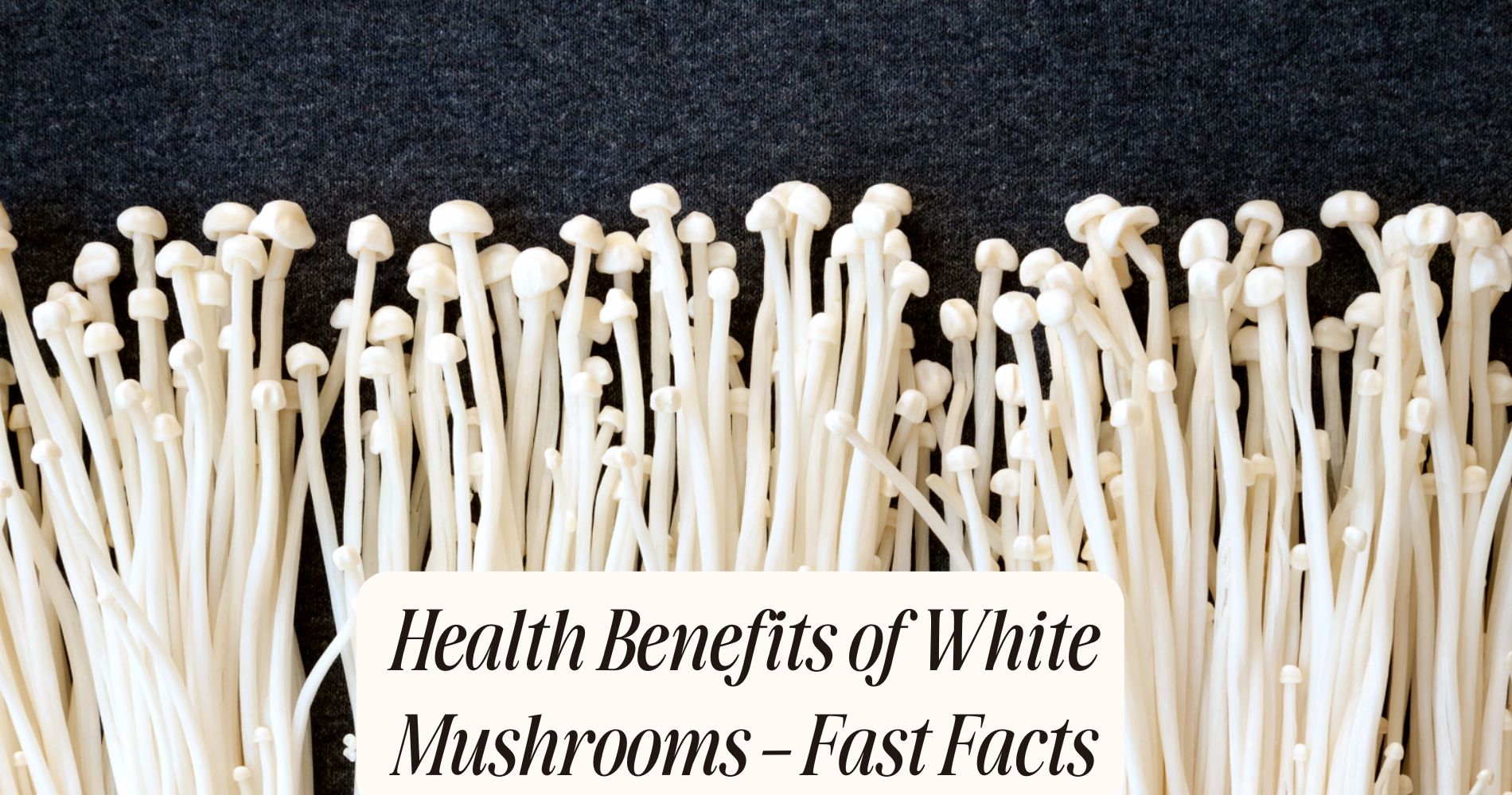 health benefits of white mushrooms