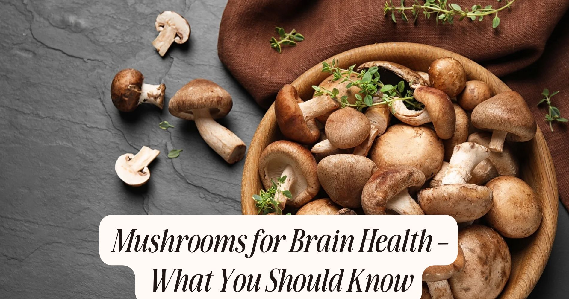 mushrooms for brain health