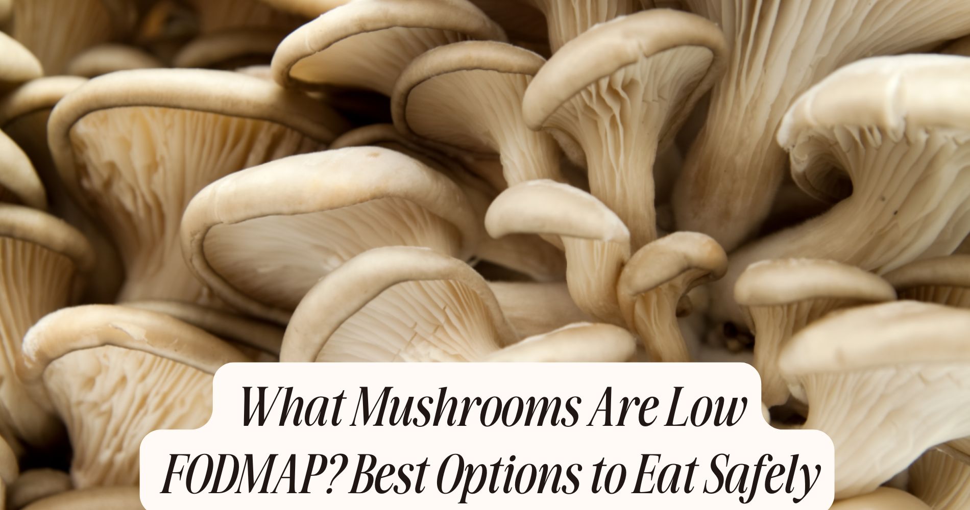 what mushrooms are low fodmap