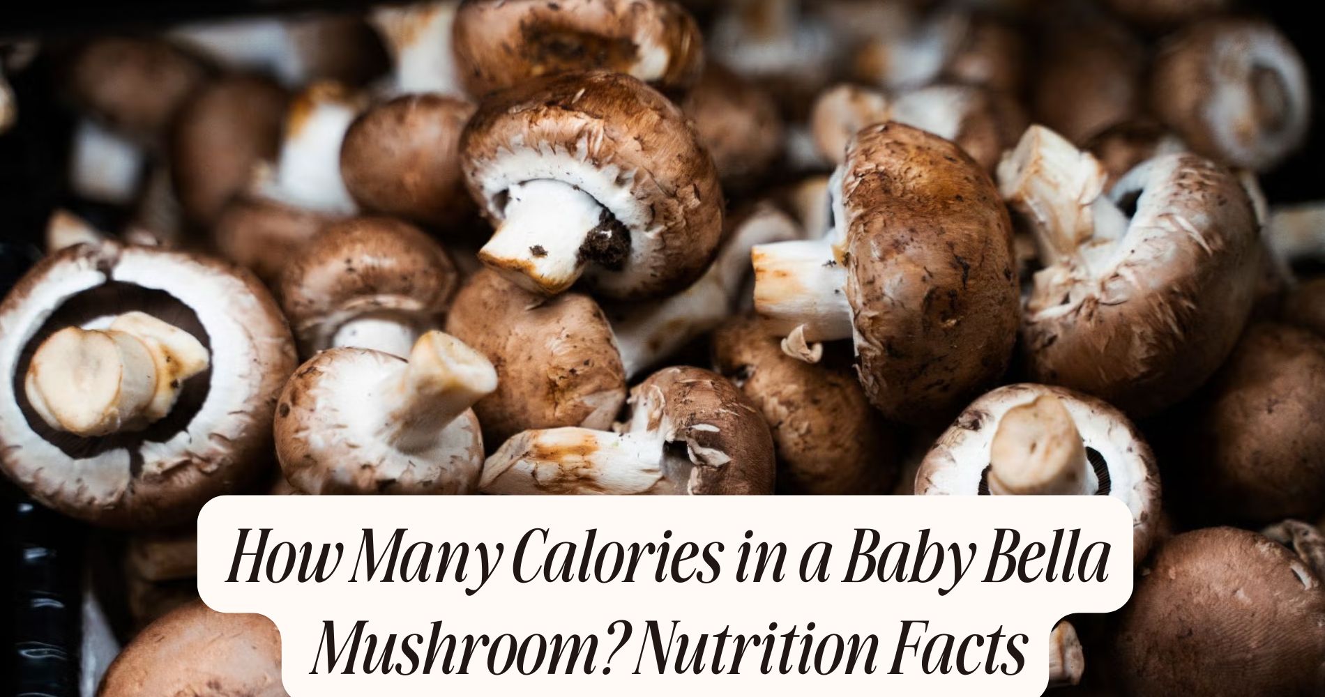 how many calories in a baby bella mushroom