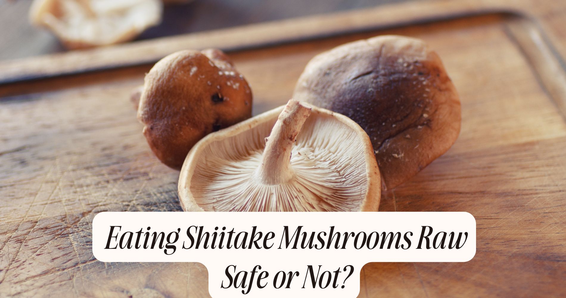 eating shiitake mushrooms raw