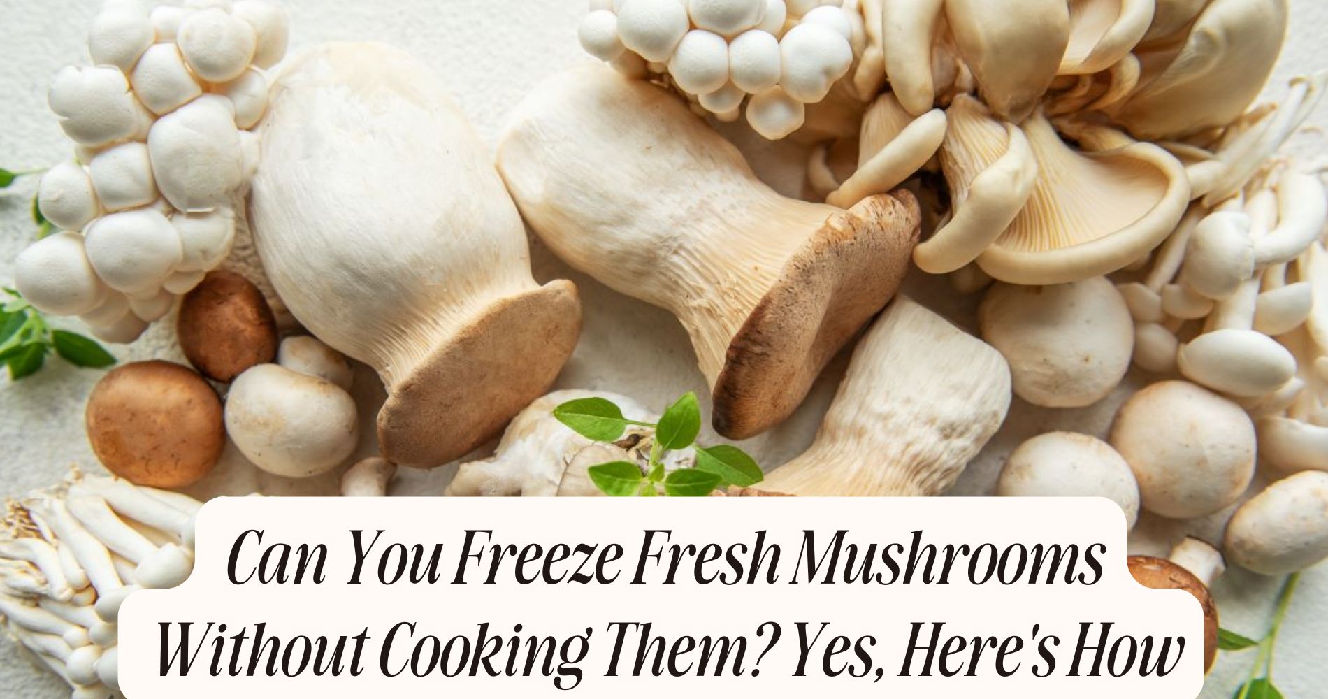 can you freeze fresh mushrooms without cooking them