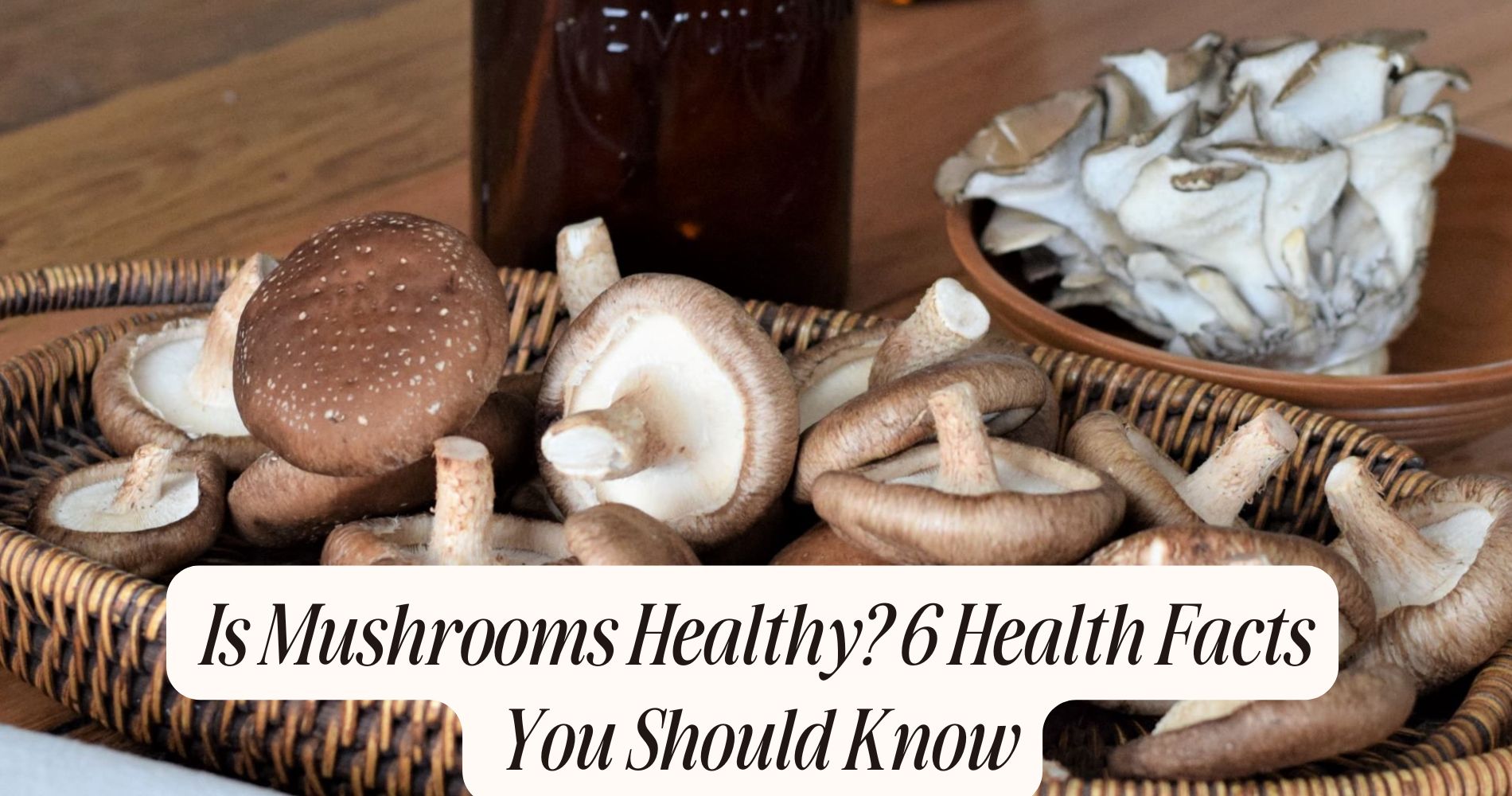 is mushrooms healthy
