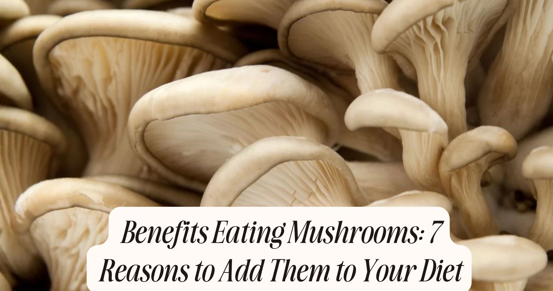 benefits eating mushrooms
