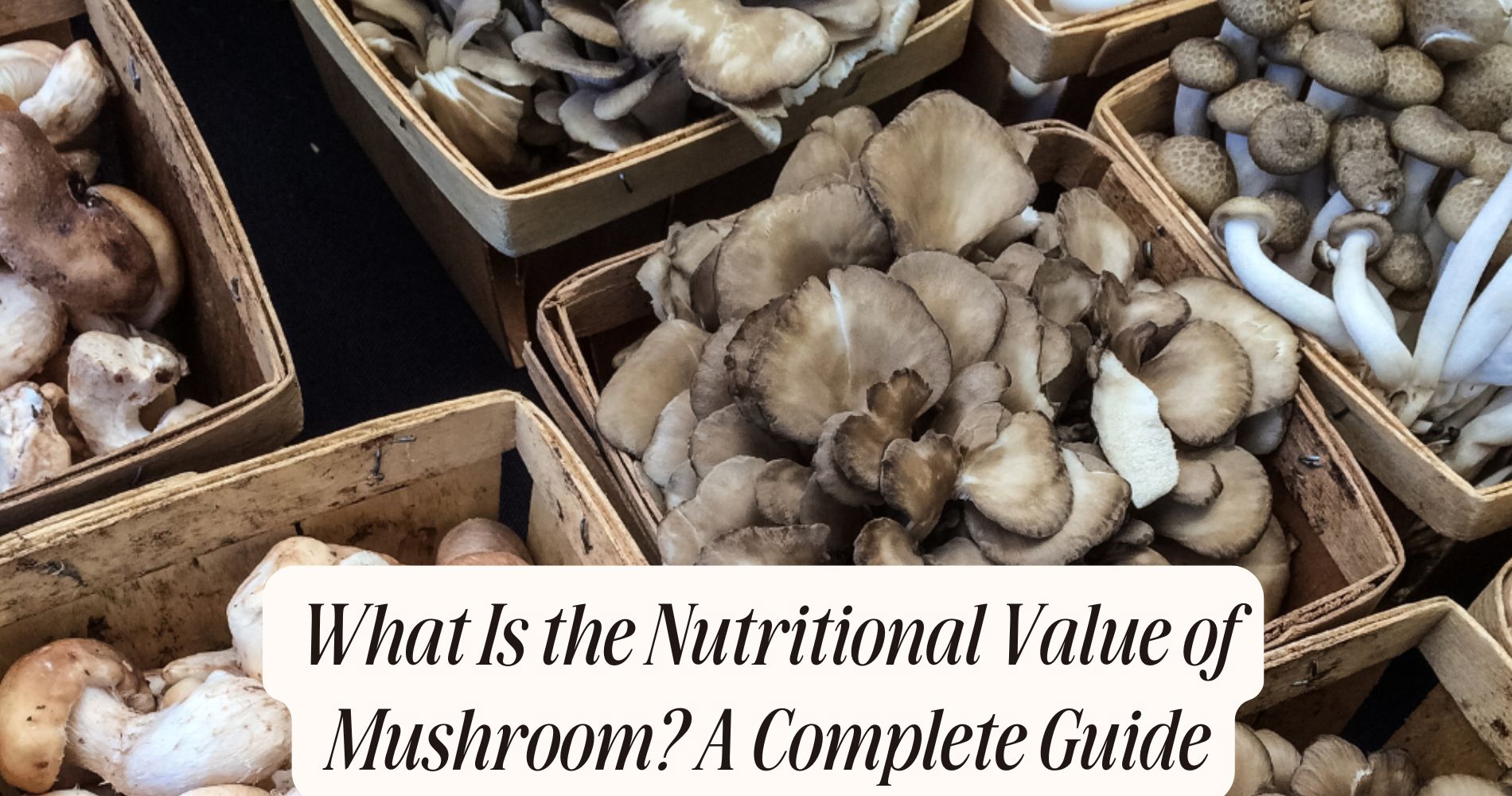 what is the nutritional value of mushroom