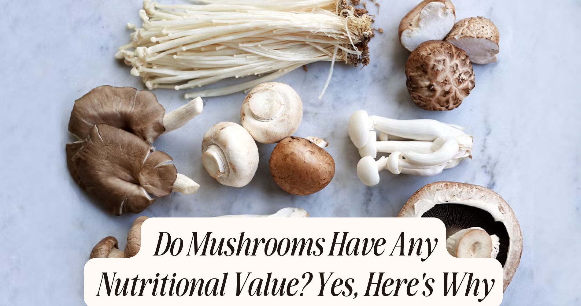 do mushrooms have any nutritional value