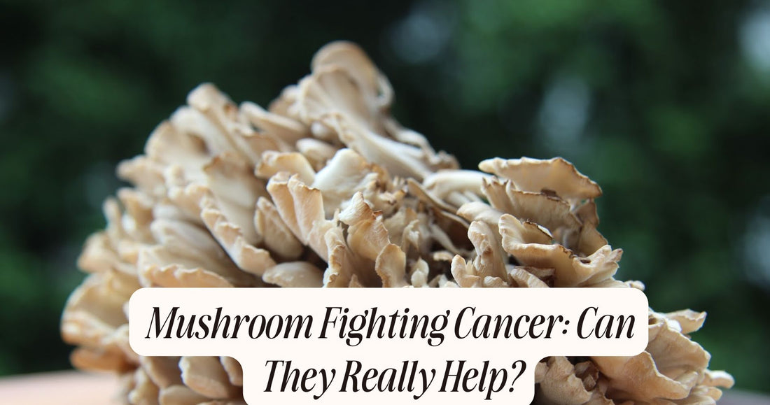 mushroom fighting cancer