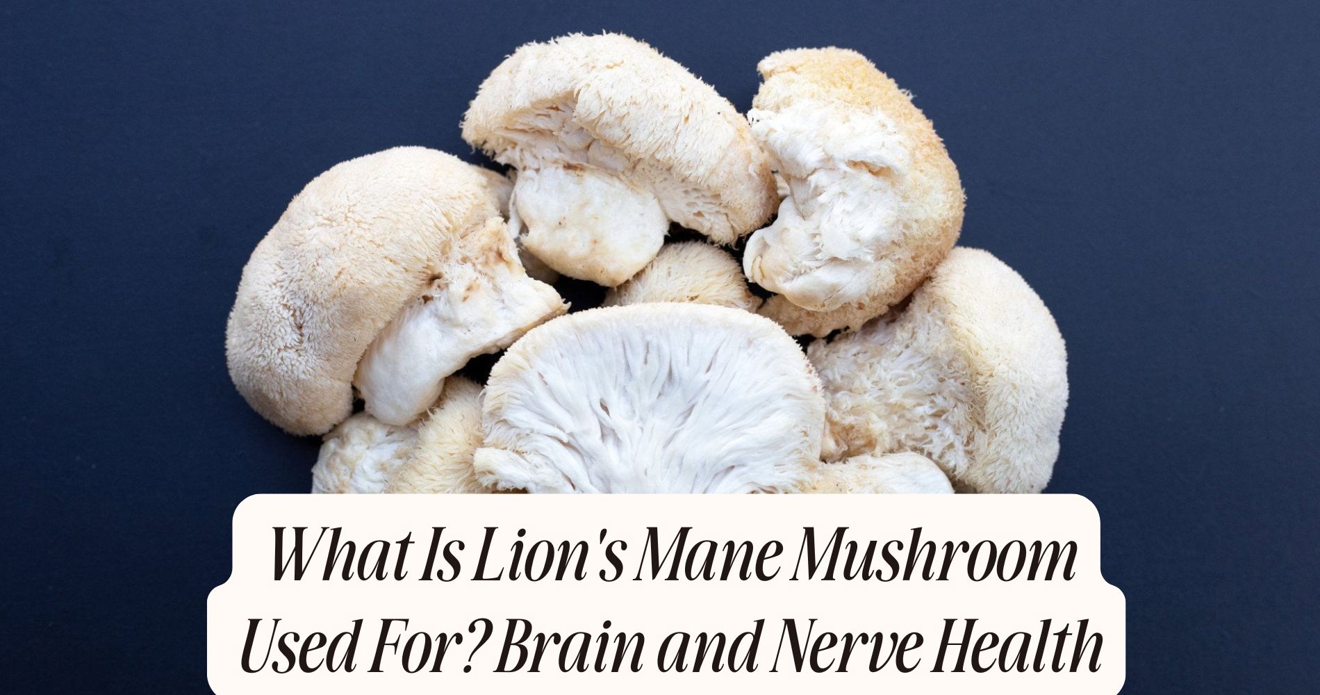 what is lion's mane mushroom used for