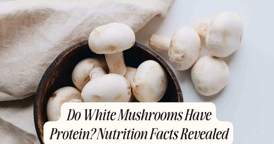 do white mushrooms have protein