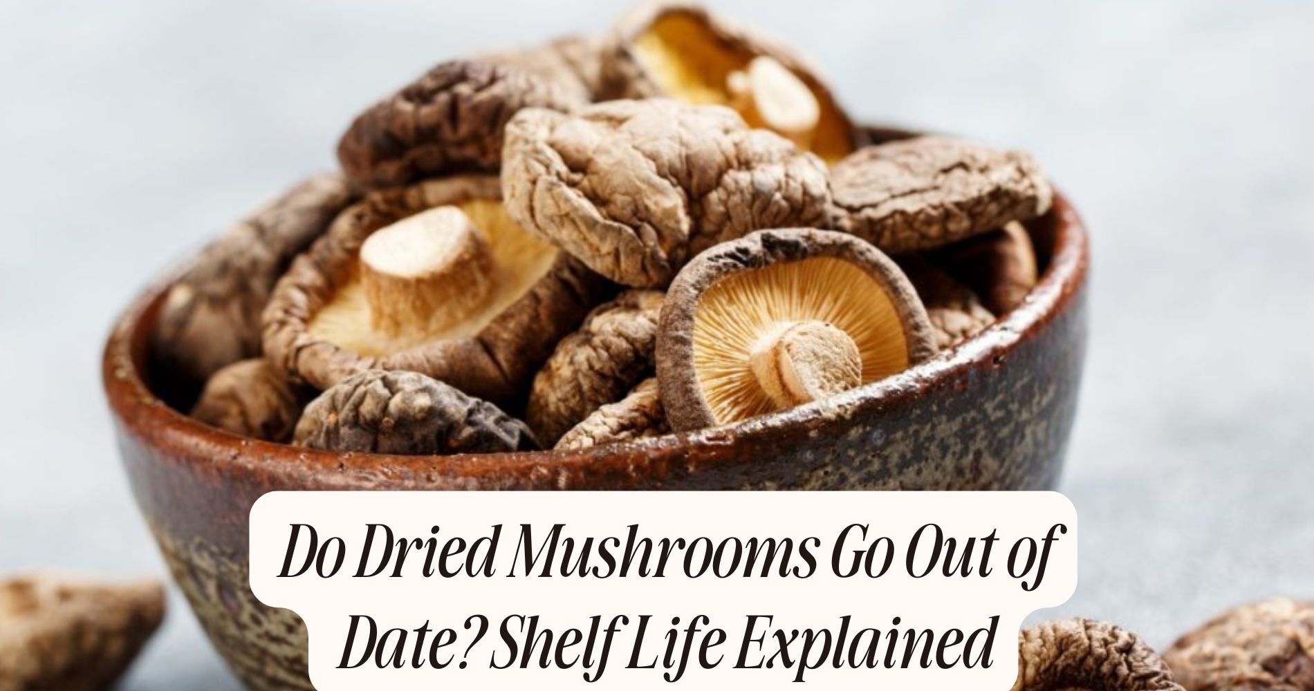 do dried mushrooms go out of date