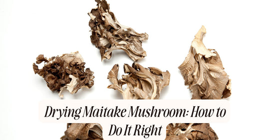 drying maitake mushroom