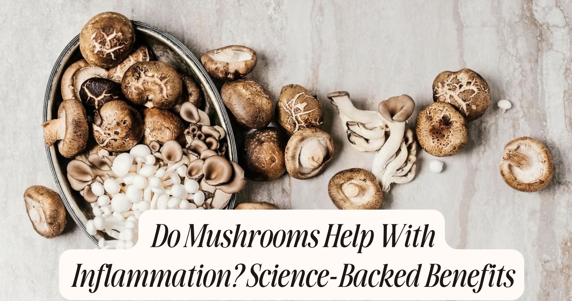 do mushrooms help with inflammation