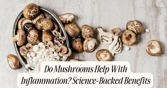 do mushrooms help with inflammation